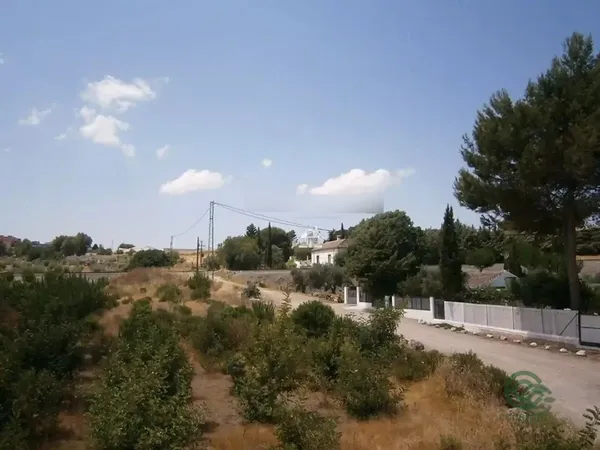 Spot image