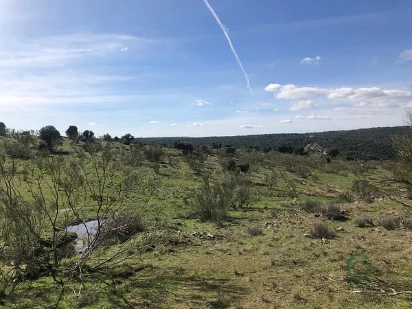 Finca rústica de 12,8 ha en venta en Madrid