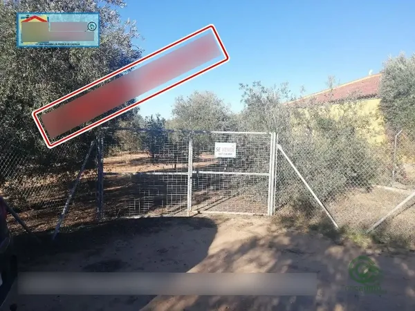 Spot image