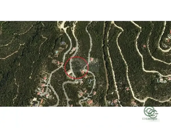 Spot image