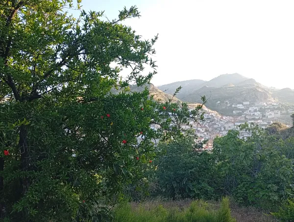 Spot image