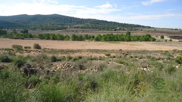 Spot image