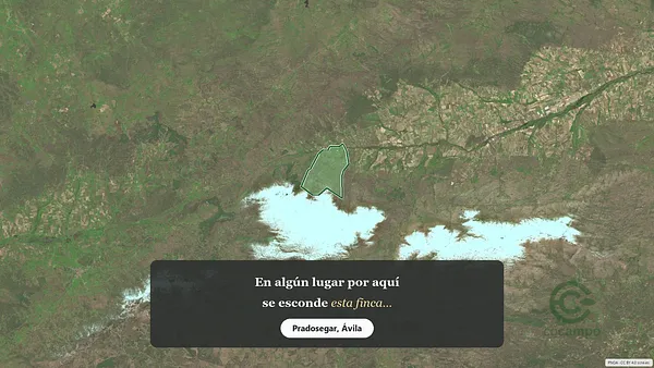 Spot image