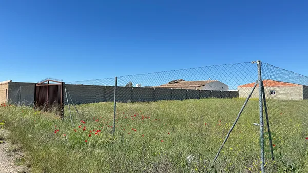 Spot image
