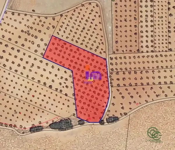 Spot image