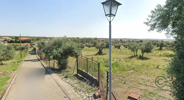 Spot image