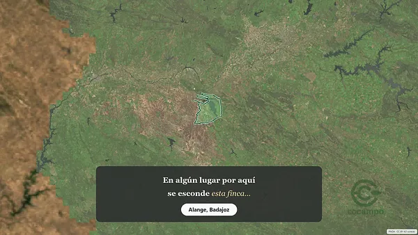 Spot image