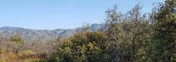 Finca rústica de 7,7332 ha en venta en Benicolet, Valencia