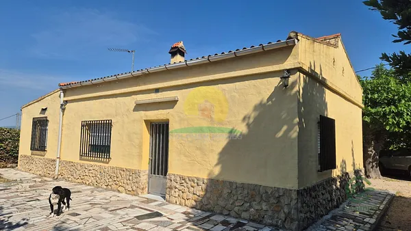 Spot image