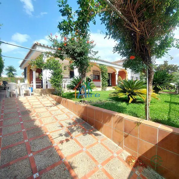 Spot image