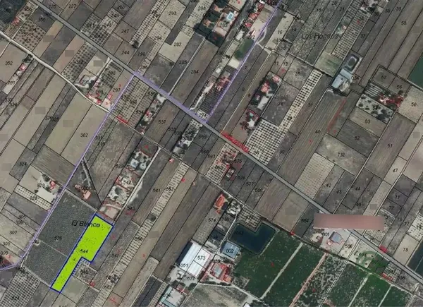 Spot image