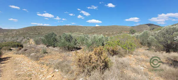 Finca rústica de 1,35 ha en venta en Macastre, Valencia