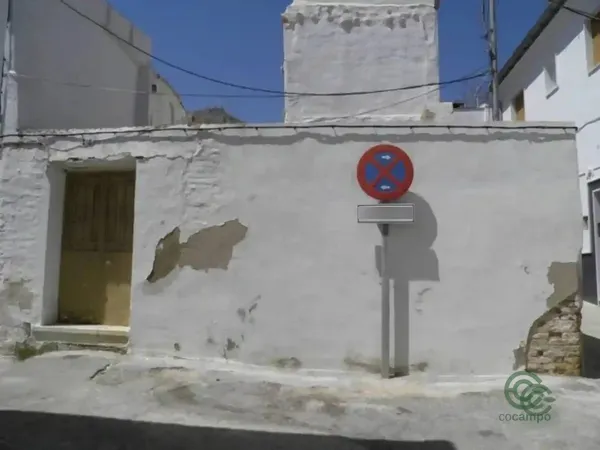 Spot image