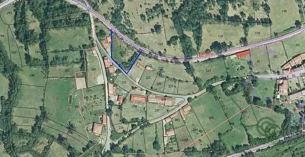 Spot image