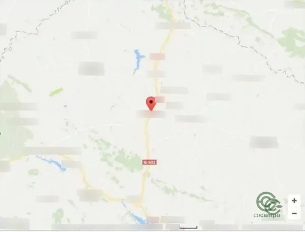 Spot image