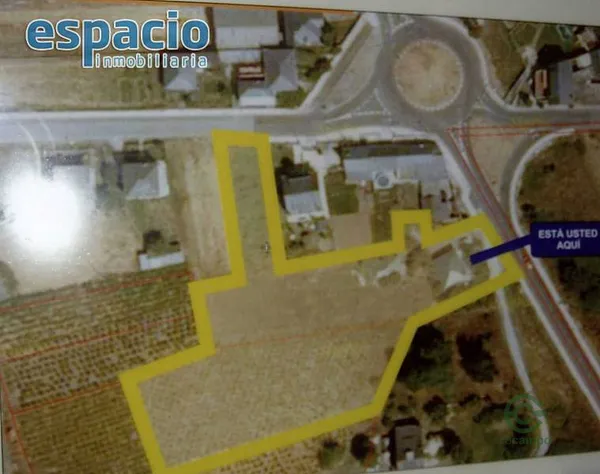 Spot image