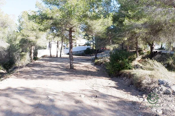 Spot image