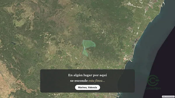 Spot image