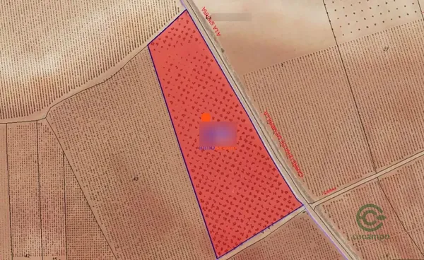 Spot image