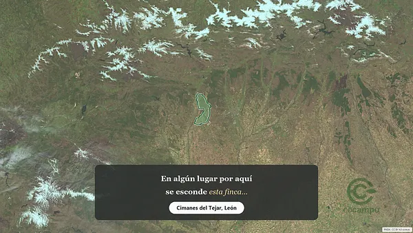 Spot image