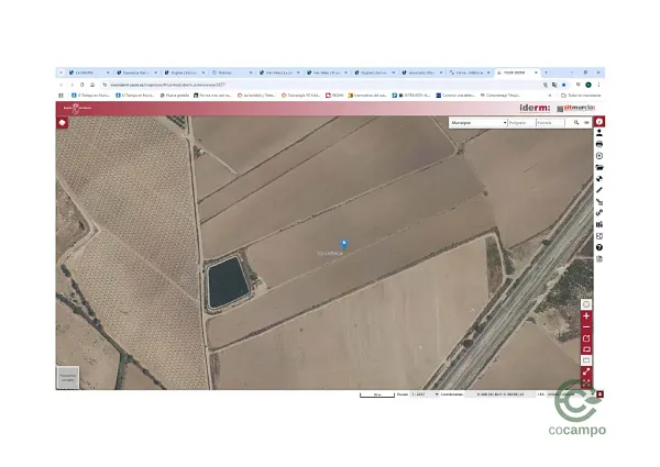 Spot image