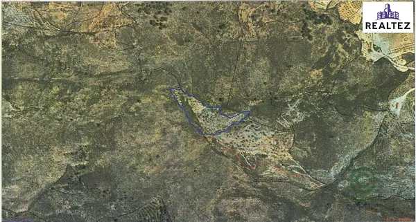 Spot image