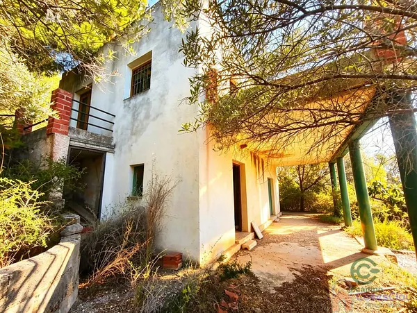 Spot image