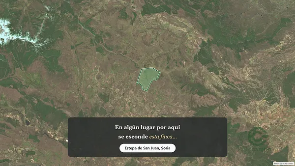 Spot image
