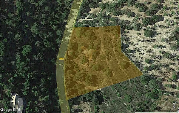 Spot image
