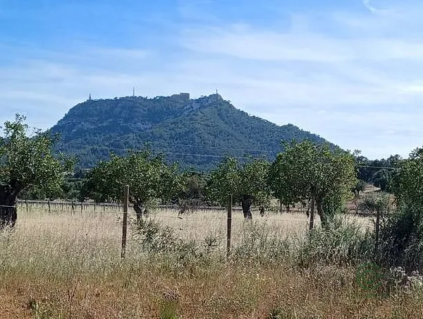Finca rústica de 2,13 ha en venta en Baleares