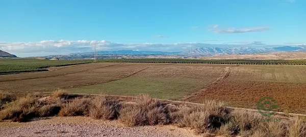 Spot image