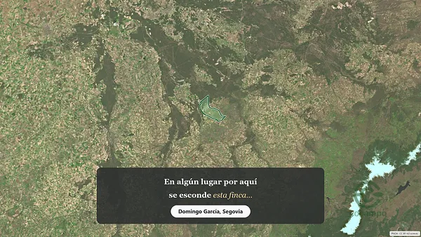 Spot image