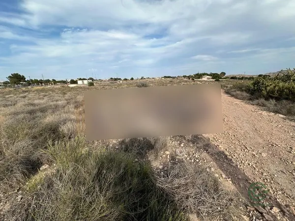 Spot image