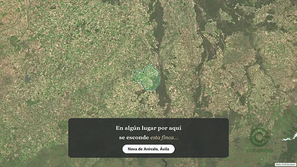 Spot image