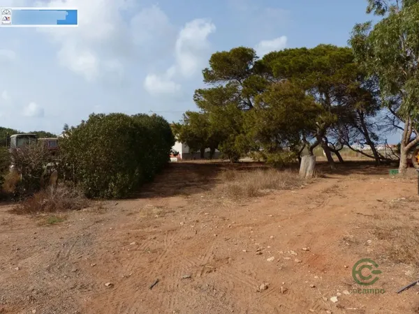 Finca agrícola de 15,5069 ha en venta en Los belones, Murcia