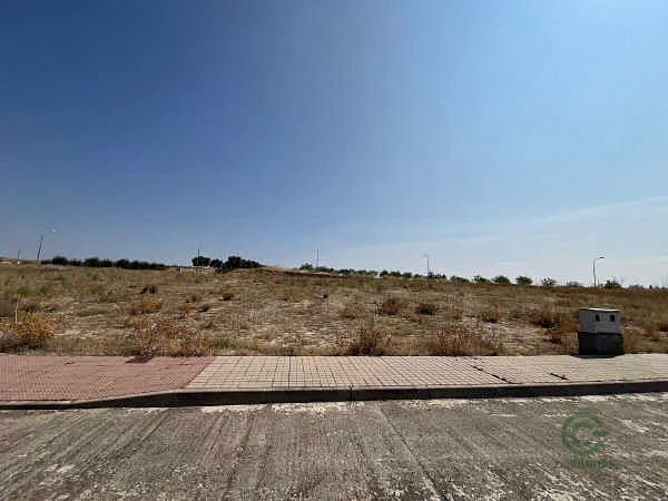 Spot image