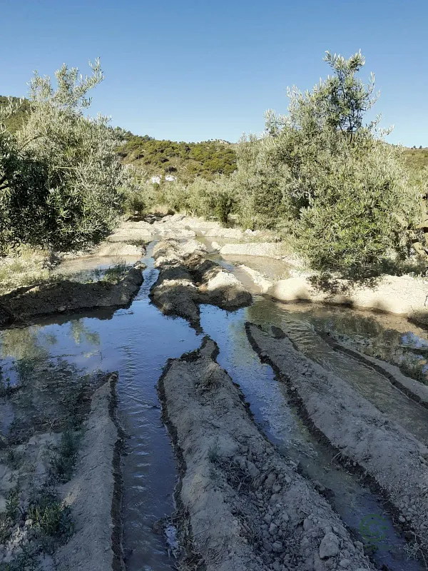 Finca agrícola de 26,2169 ha en venta en Granada