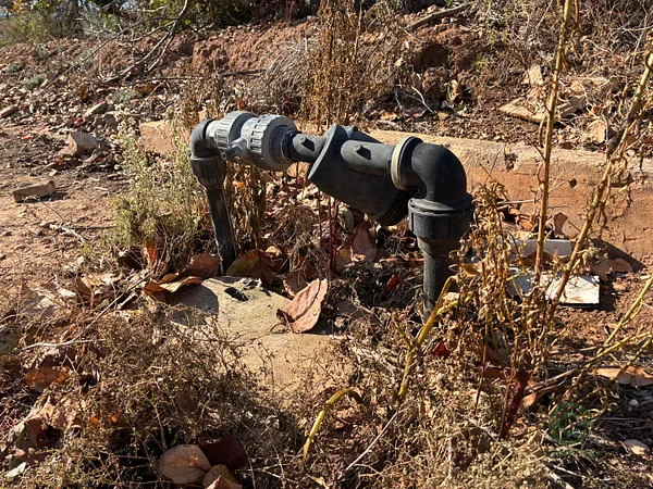Spot image