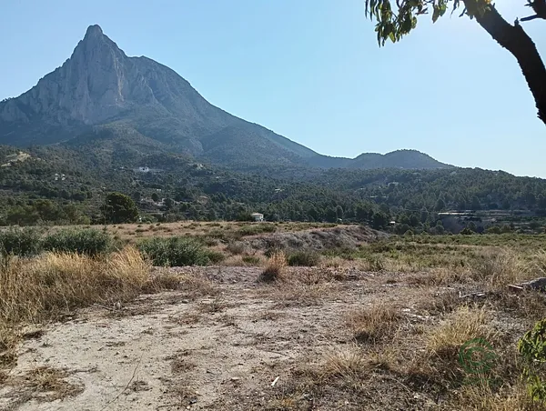 Spot image