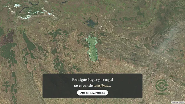 Spot image