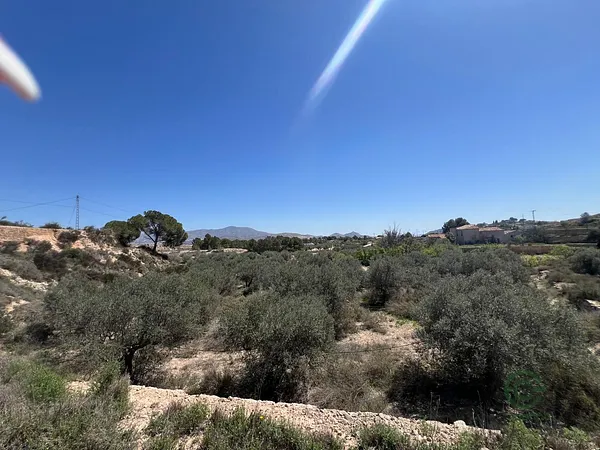Spot image