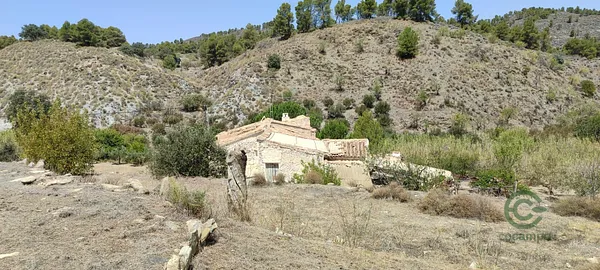 Spot image