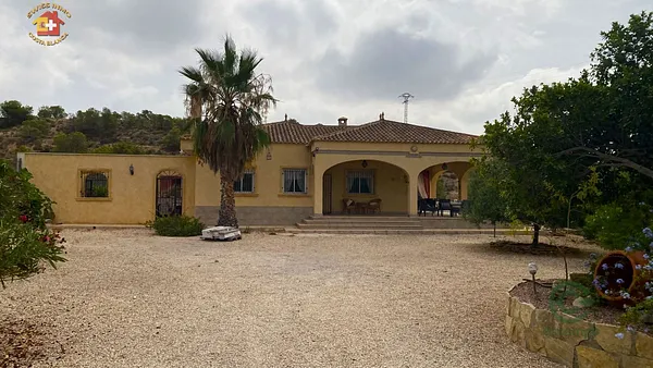 Spot image