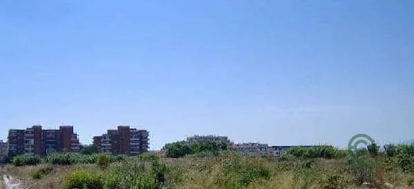 Spot image