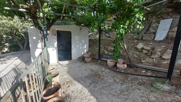 Spot image