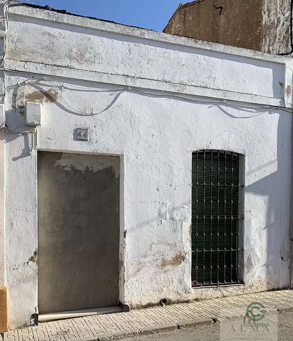 Spot image