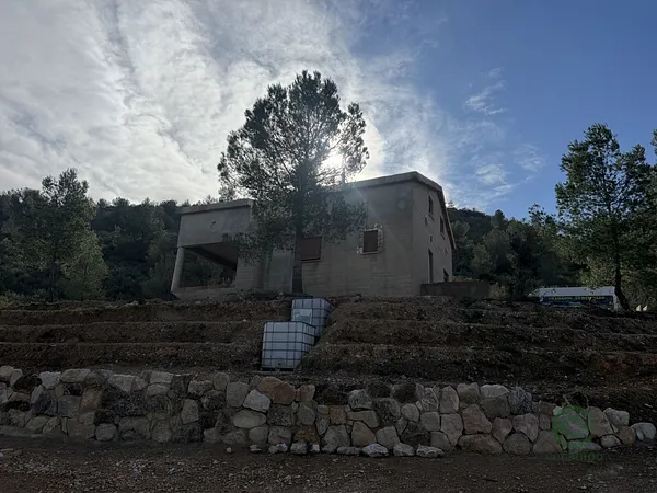 Spot image