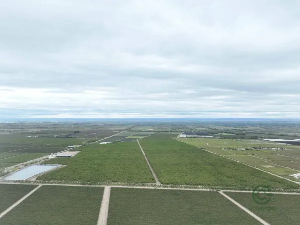 Finca rústica de 123 ha en venta en Mendoza