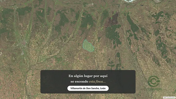 Spot image