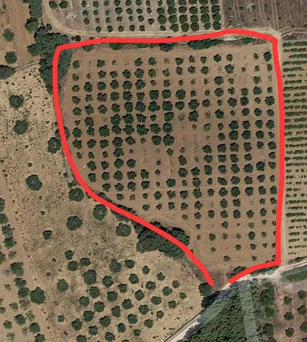 Spot image